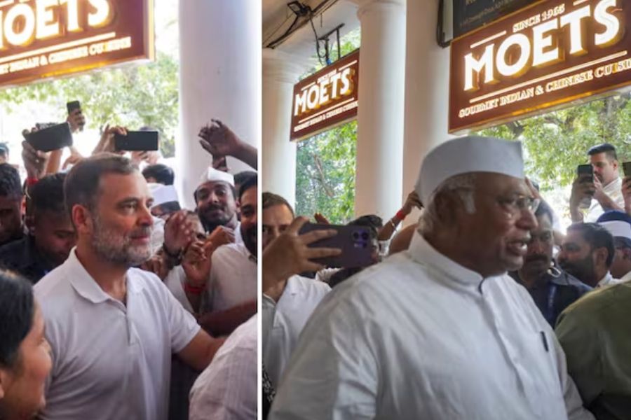 राहुल गांधी और INDIA ब्लॉक नेताओं के Sagar Ratna, Moets में लंच से बढ़ी चर्चा